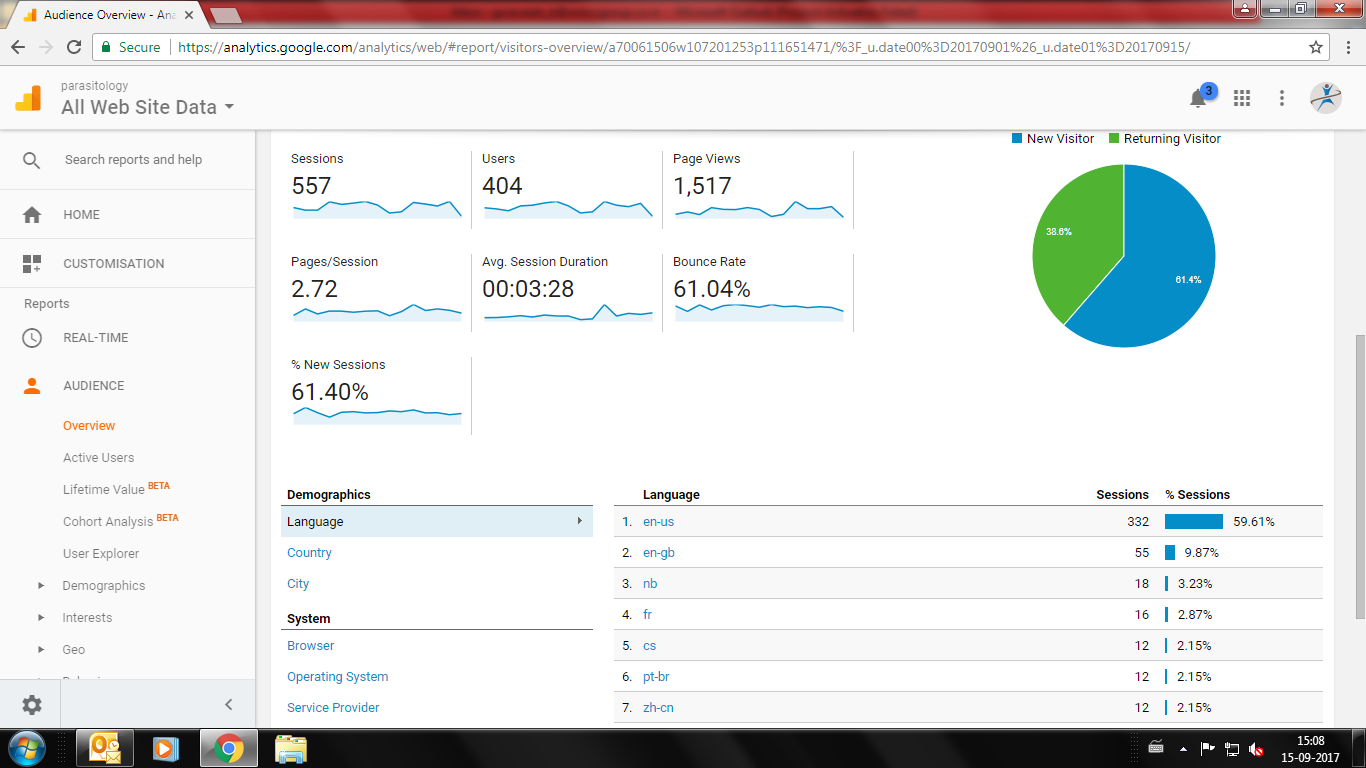 Visitor Analysis Report